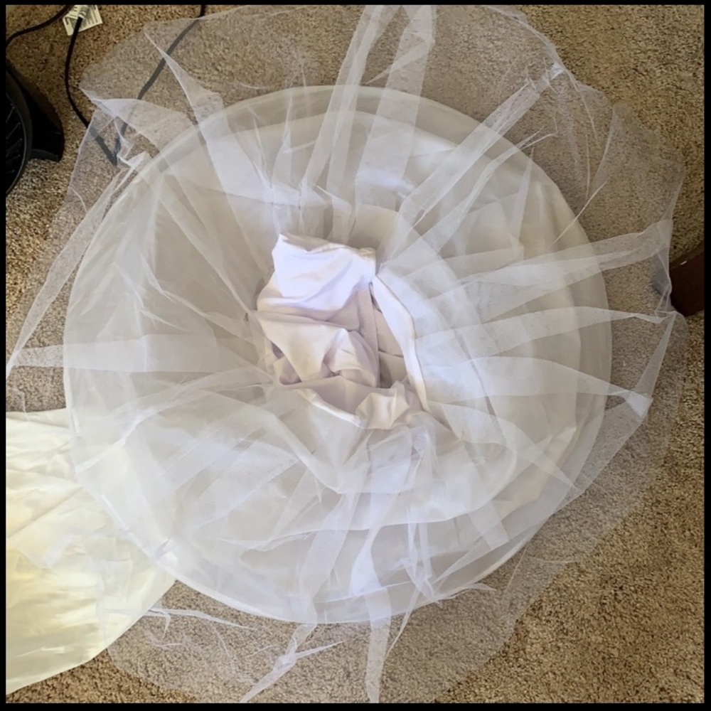 Brand New Hoop Skirt